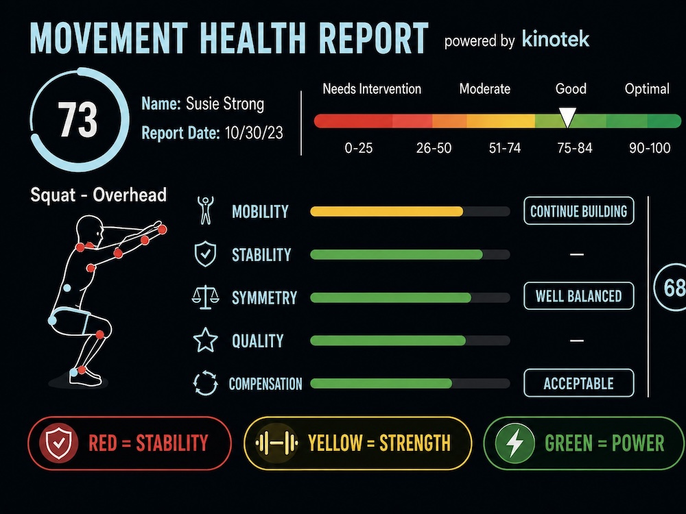 Kinotek movement assessment report